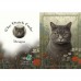 DUTCH LADY DESIGNS GREETING CARD Cats 1